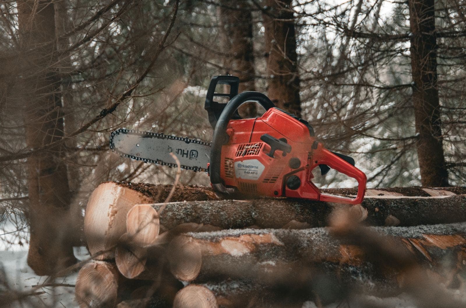 Chainsaw resting on freshly cut logs after a tree removal