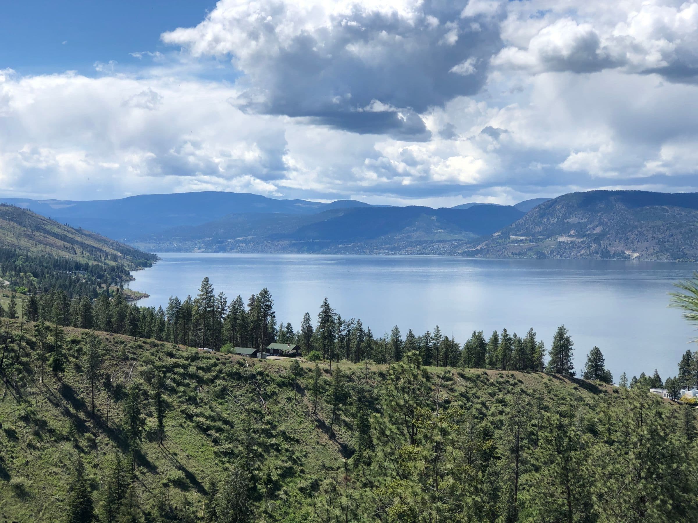 Lake view over a pine-dotted hillside in Lake Country
