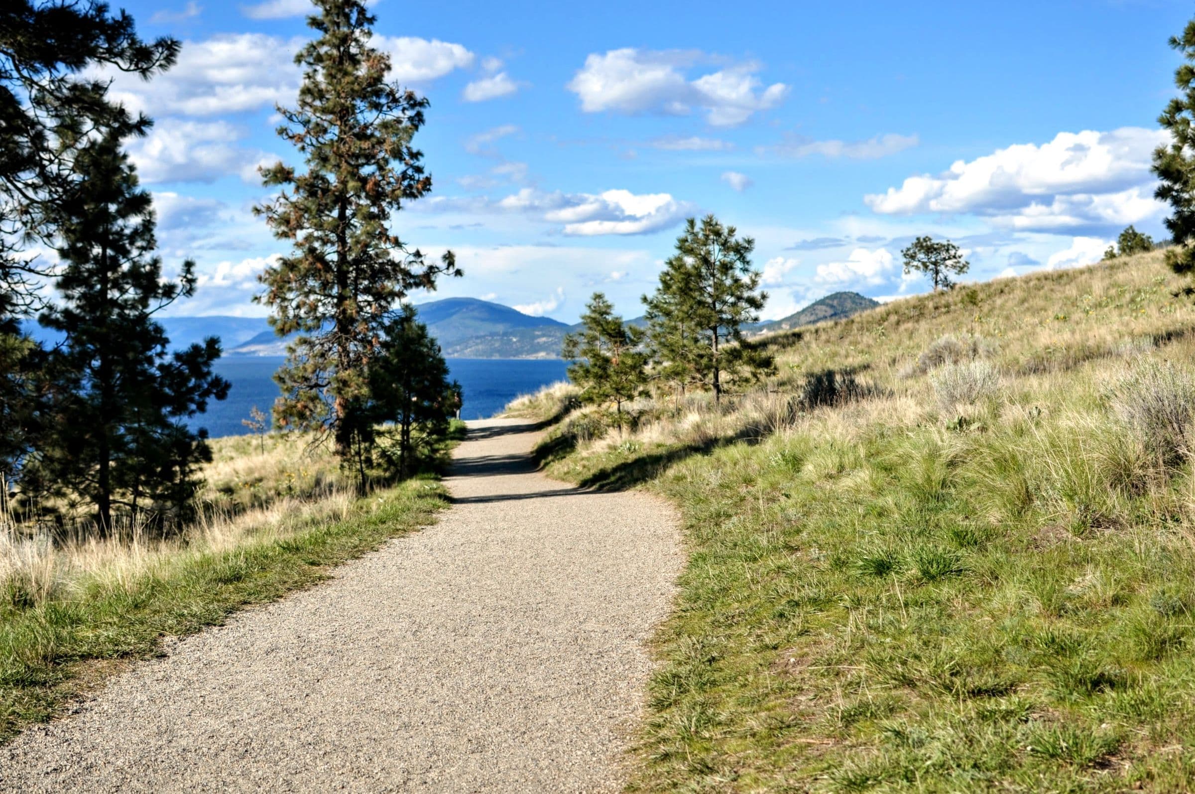 Gravel trail through grass and pines in the Upper Mission above the lake