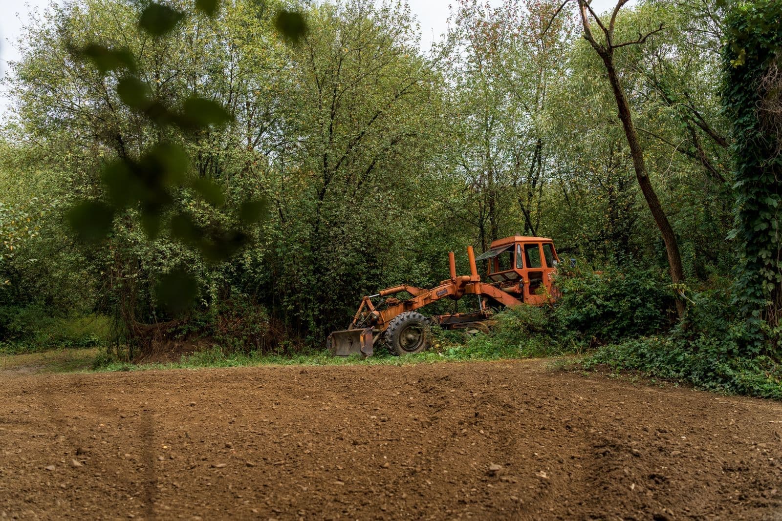 Forestry mulcher clearing brush at the edge of a wood
