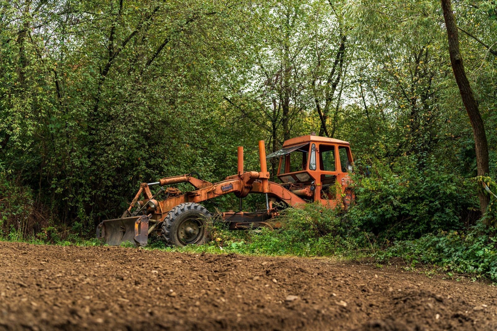 Mulcher clearing brush at the forest edge
