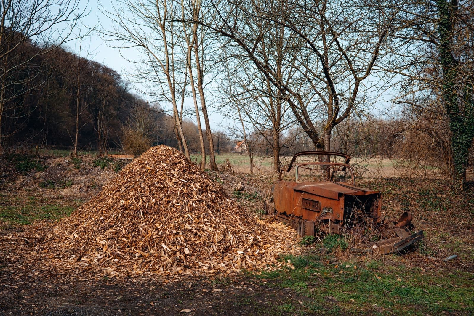 Pile of wood chips in a cleared yard