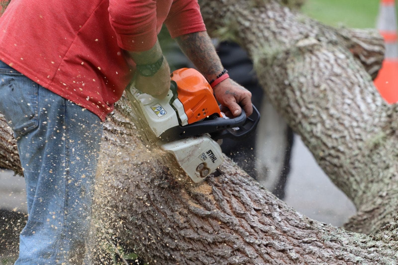 Chainsaw biting into a large log after a tree removal