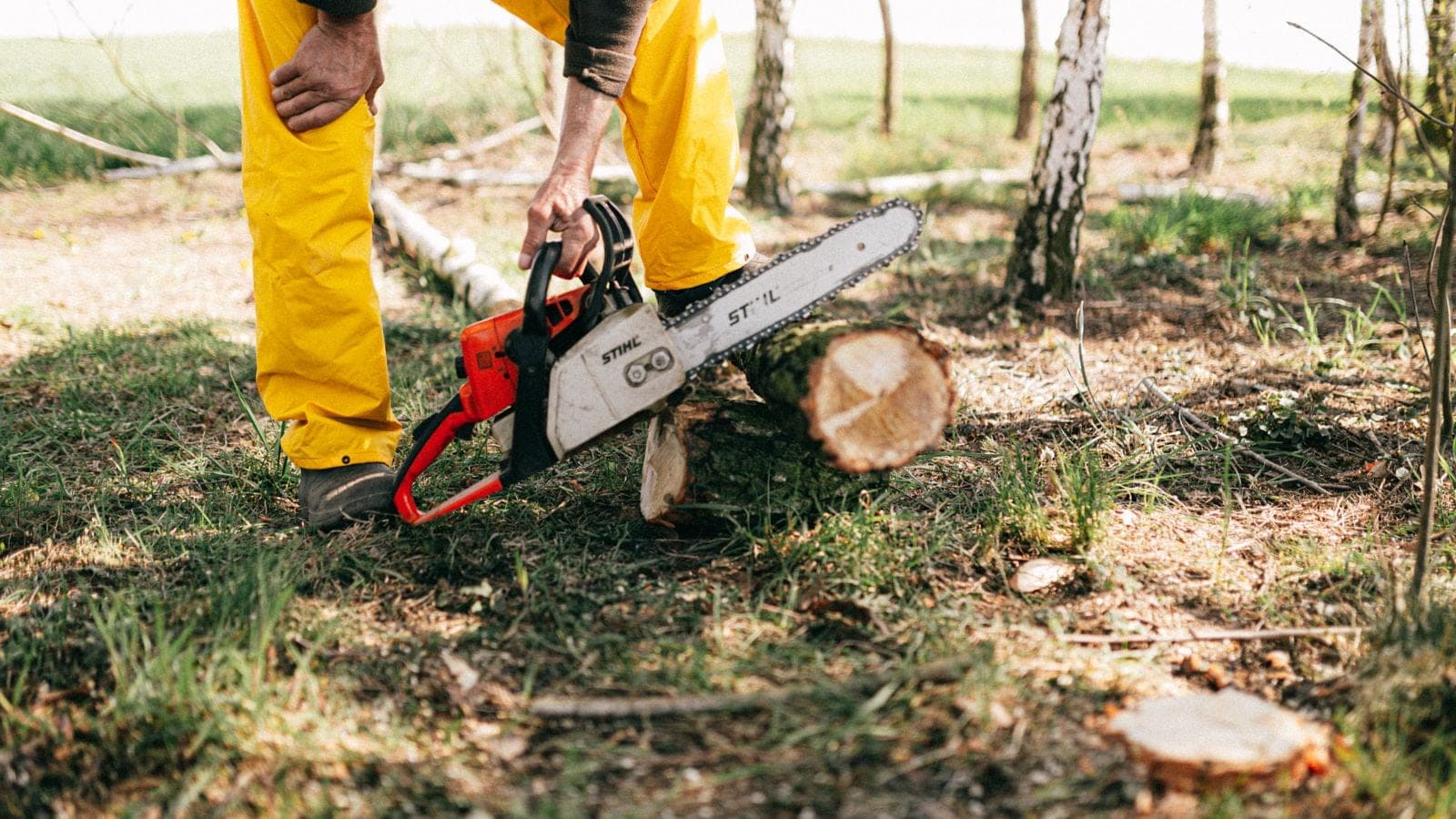 Chainsaw cutting a log on the ground